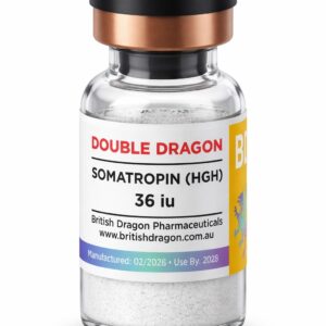 Double Dragon