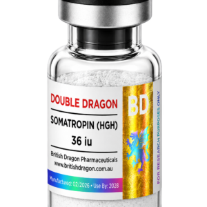 Double Dragon