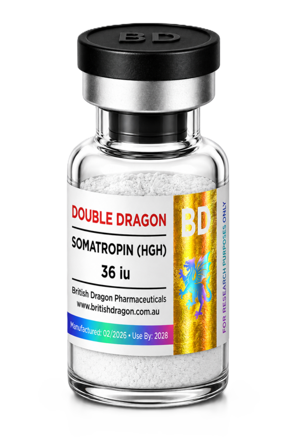 Double Dragon