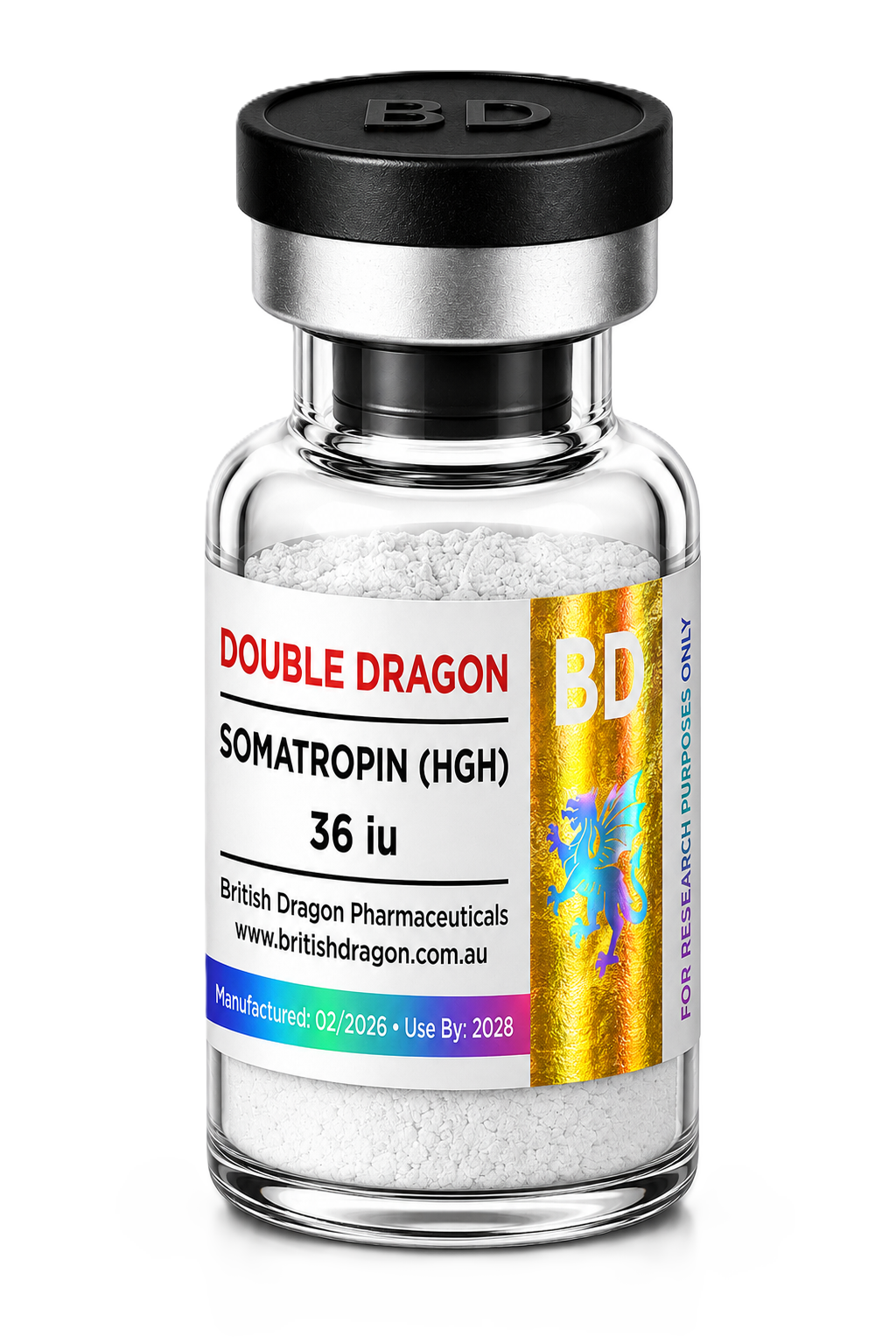 Double Dragon